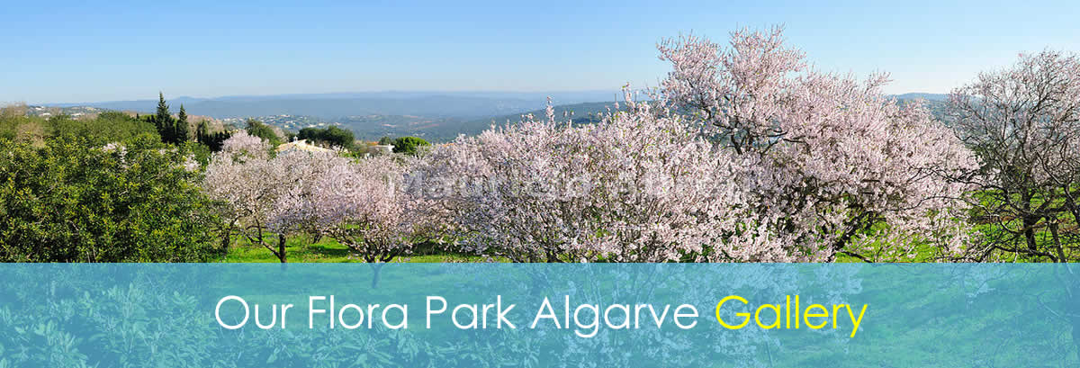 Our Flora Park Algarve Gallery