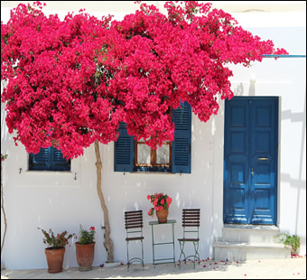 Your best and cheapest holiday in Algarve
